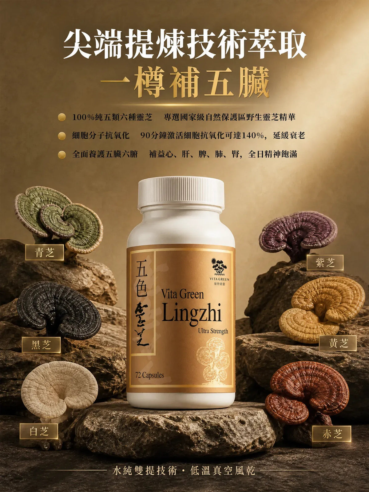 【Mature-Age Wellness】Five-Color Reishi