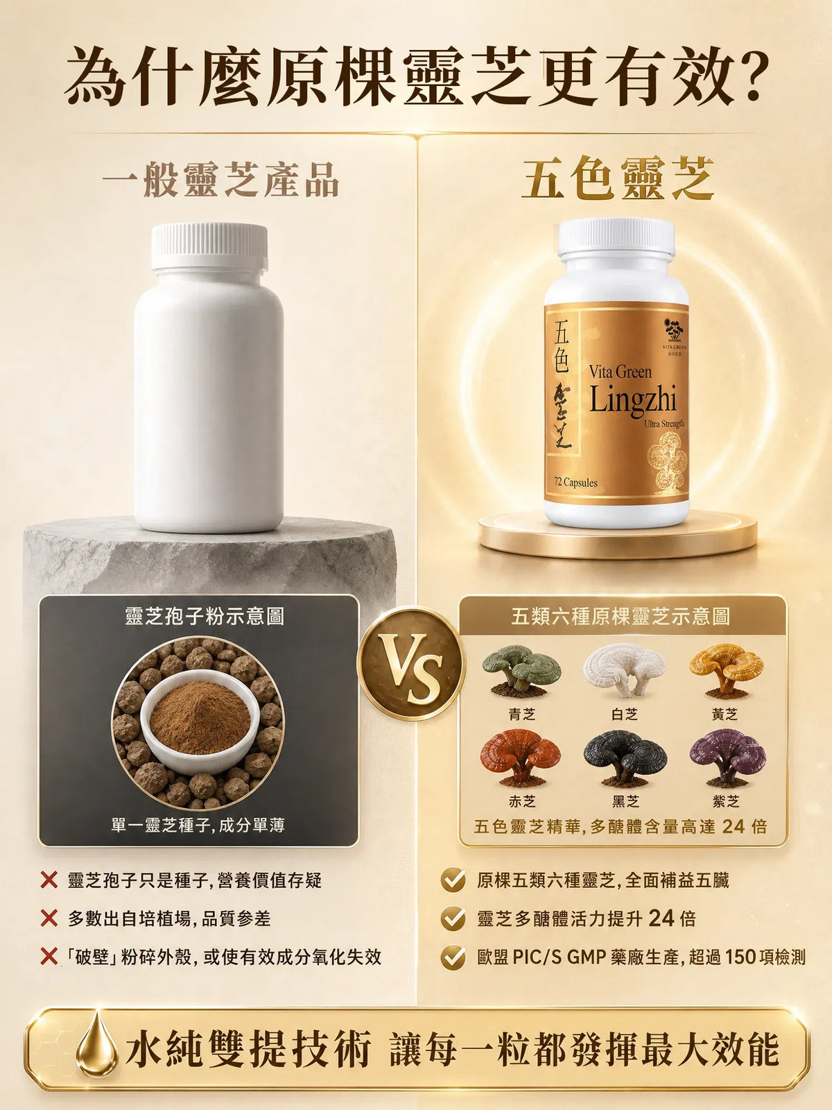 【Mature-Age Wellness】Five-Color Reishi