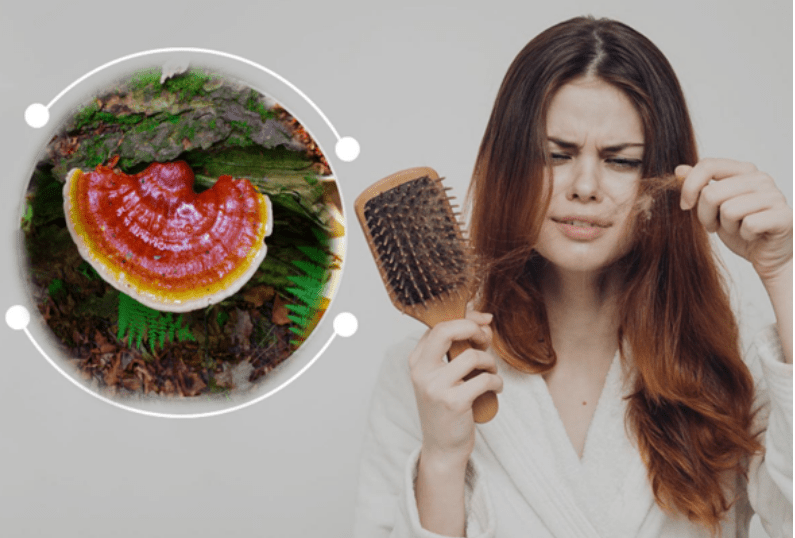 10 Benefits of Reishi Mushroom For Hair Loss - 維特健靈官方海外專賣店 Vita Green Official Global Shop