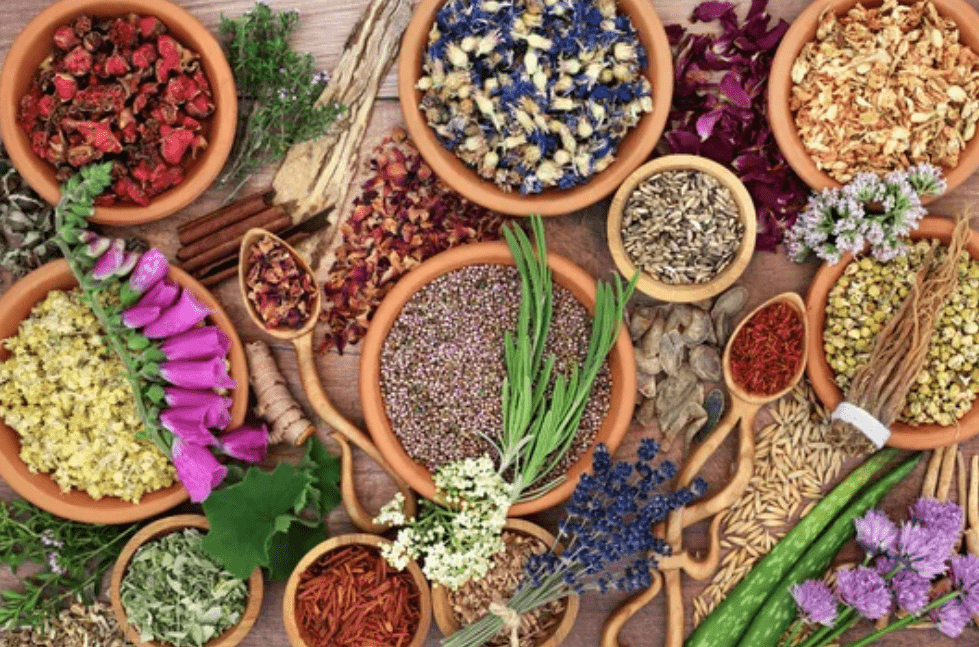 5 Chinese Herbs Effective at Treating Hair Loss – Backed by Science - 維特健靈官方海外專賣店 Vita Green Official Global Shop