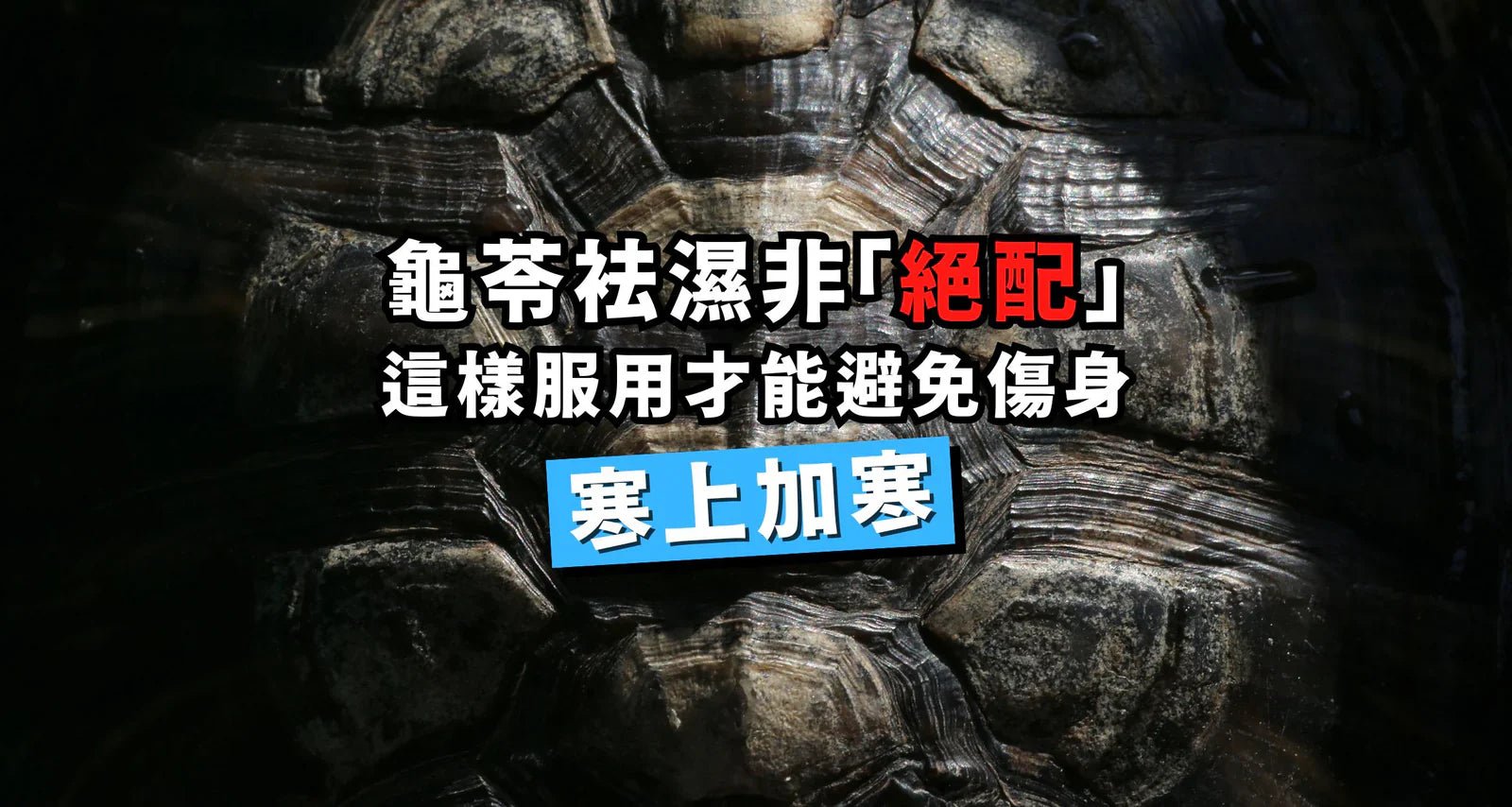 龜苓袪濕非「絕配」 這樣服用才能避免傷身寒上加寒 - 維特健靈官方海外專賣店 Vita Green Official Global Shop
