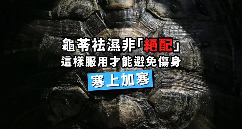 Turtle Jelly for Relieving Dampness Is Not a "Perfect Match"; Here's How to Take It to Avoid Harming Your Body and Worsening Coldness