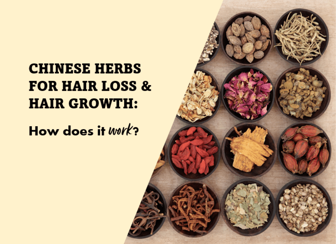 Top 13 Leading Chinese Herbs To Help Your Hair Loss And Hair Growth Problems- Backed Up By Science - 維特健靈官方海外專賣店 Vita Green Official Global Shop