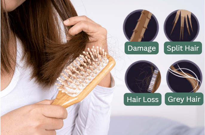 Top 8 Most Common Hair Problems and Their Treatments - 維特健靈官方海外專賣店 Vita Green Official Global Shop