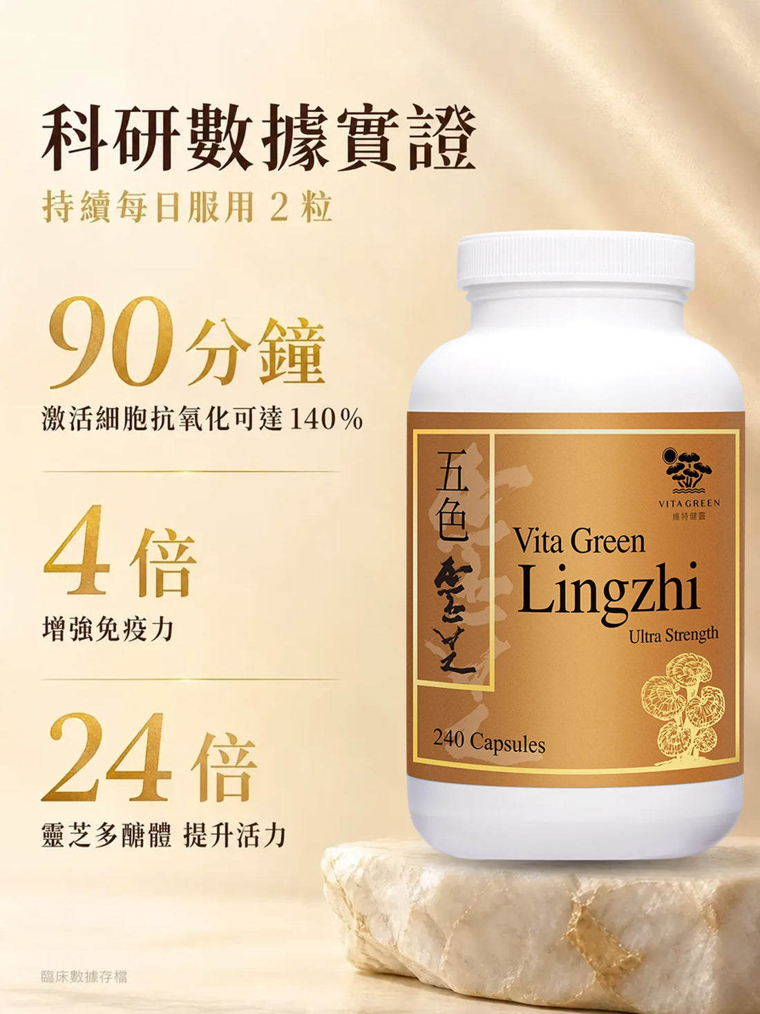 五色靈芝 240粒